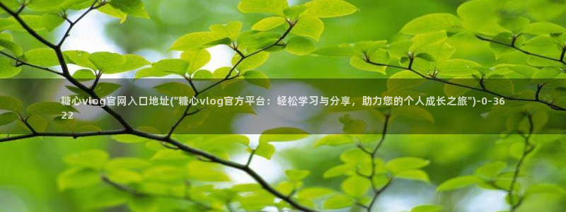 糖心vlog 免费观看