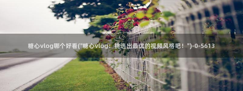 糖心velog