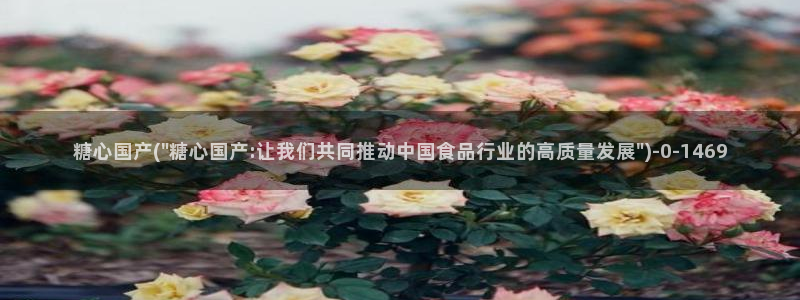 糖心vlog破解在线