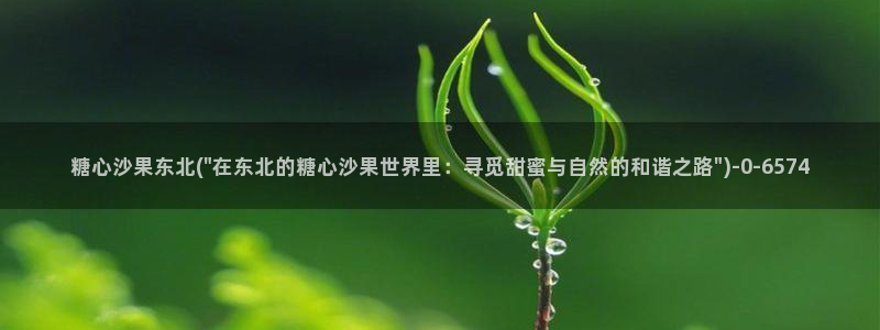糖心vlog官方