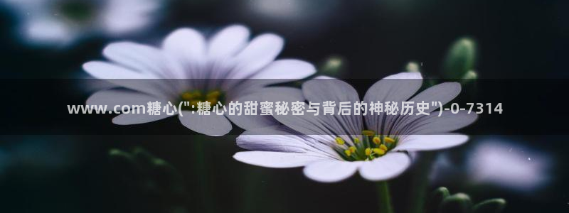 糖心vlog视频app