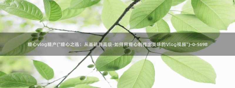 糖心vlog官网在线观看