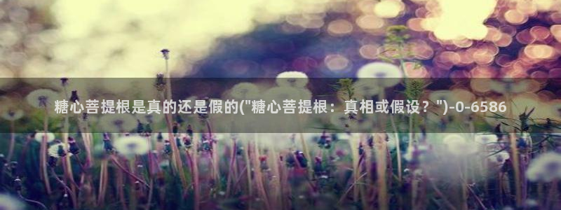心糖vlog在线免费播放