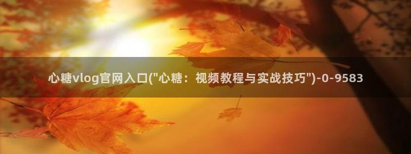 糖心vlog记录
