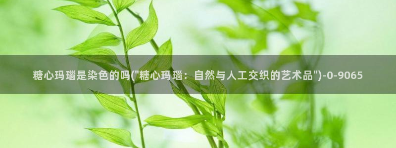 糖心vlog下载破解版