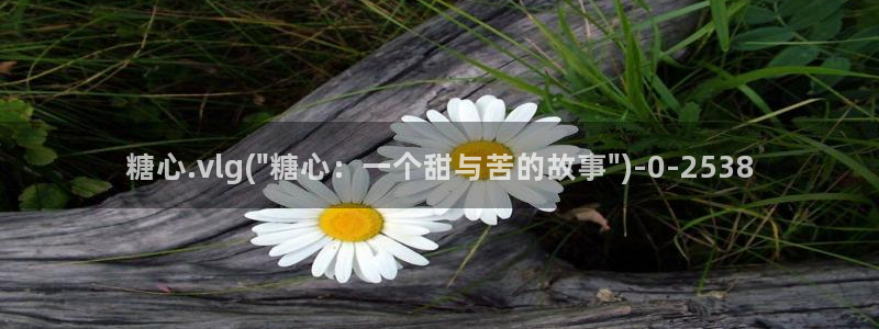 糖心vlog在