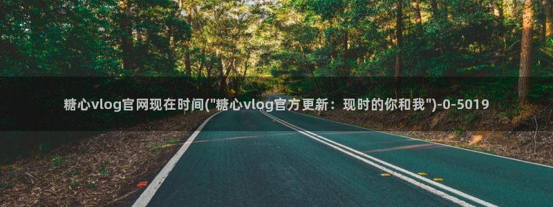 糖心vlog是啥