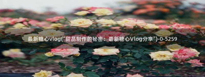 糖心vlog.www