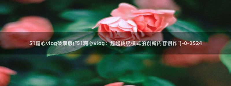 糖心视频vlog破解版下载