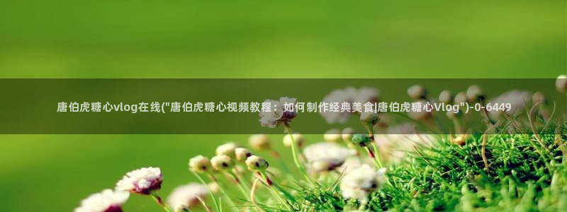 糖心vlog啊啊啊