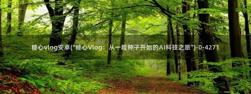 糖心vlog糖糖
